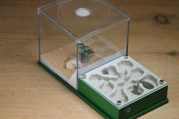 Fallen Fortress (BF) (Lime 3251)