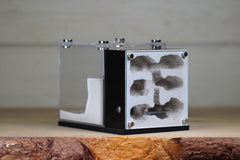 Fortress (BF)(Black 3602)(MQ Box)