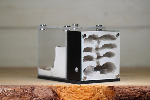 Fortress (BF)(Black 3603)(MQ Box)