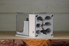 Fortress (BF)(Bone 3620)