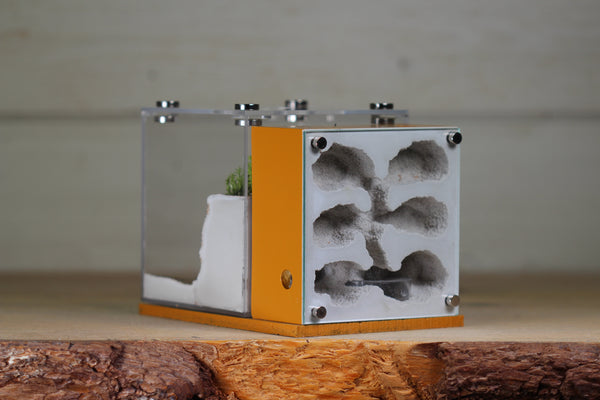 Fortress (BF)(Terra 3607)(MQ Box)