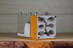 Fortress (BF)(Terra 3607)(MQ Box)