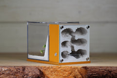 Fortress (BF)(Terra 3622)