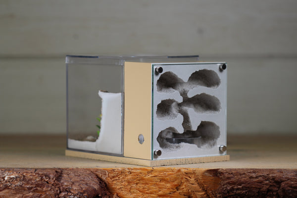 Fortress (BF)(Beige 3625)