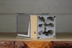 Fortress (BF)(Beige 3624)