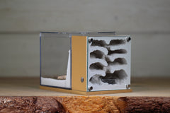 Fortress (BF)(Brown 3628)