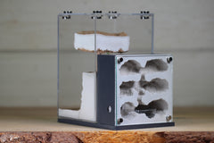 Fortress (BF)(Grey 3609)(MQ Box)(X-Tall Box)