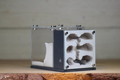 Fortress (BF)(Grey 3611)(MQ Box)