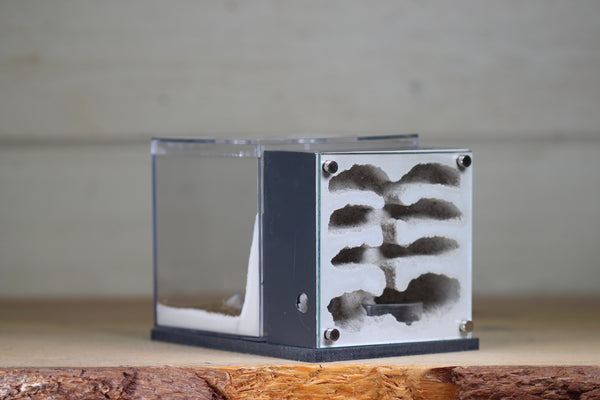 Fortress (BF)(Grey 3631)