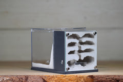 Fortress (BF)(Grey 3631)