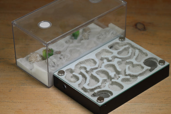 Labyrinth (BF)(Black 3377)