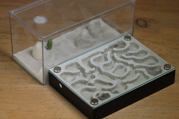 Labyrinth (BF)(Black 3379)