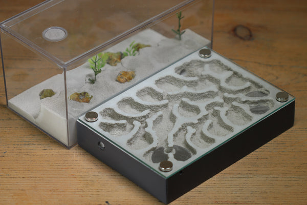 Labyrinth (BF)(Grey 3385)