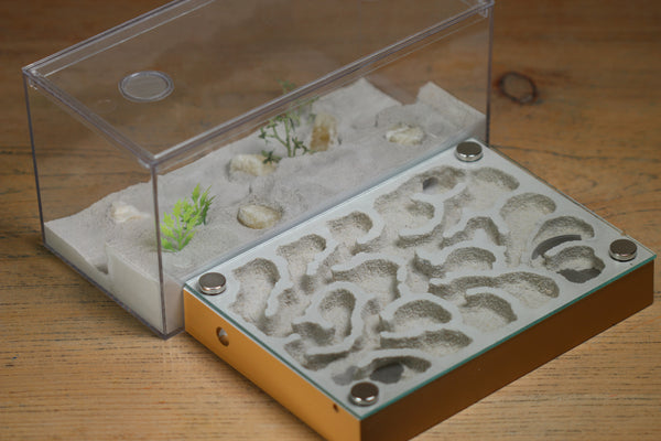 Labyrinth (BF)(Brown 3388)(MQ Box)