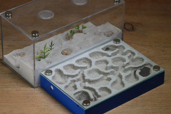 Labyrinth (BF)(Dark Blue 3391)(MQ Box)