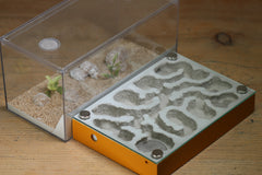 Labyrinth (BF)(Terra 3392)