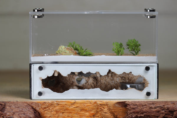 XXL Mini Hearth (BF)(Black 3500)