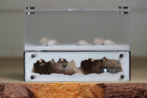 XXL Mini Hearth (BF)(Black 3501)