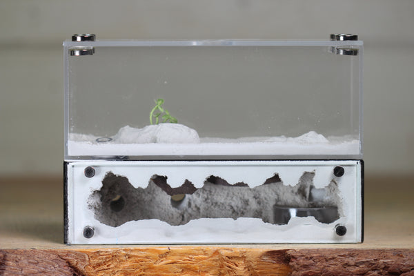 XXL Mini Hearth (BF)(Black 3503)