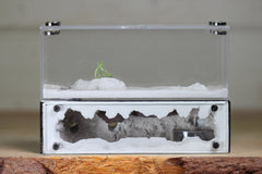 XXL Mini Hearth (BF)(Black 3503)