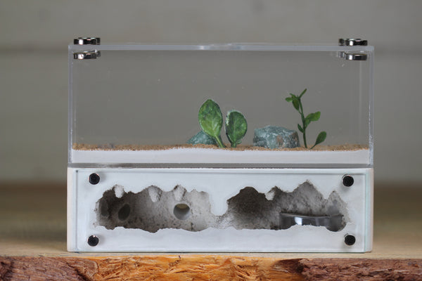 XXL Mini Hearth (BF)(Bone 3504)