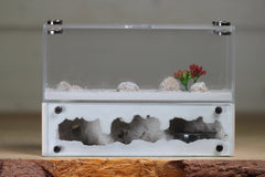 XXL Mini Hearth (BF)(Bone 3505)