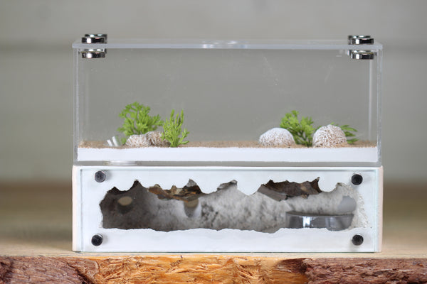 XXL Mini Hearth (BF)(Bone 3506)