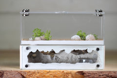 XXL Mini Hearth (BF)(Bone 3506)