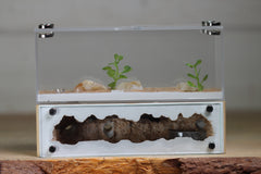 XXL Mini Hearth (BF)(Beige 3511)