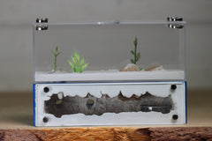 XXL Mini Hearth (BF)(Dark Blue 3513)