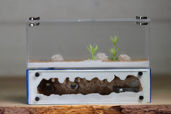 XXL Mini Hearth (BF)(Dark Blue 3514)