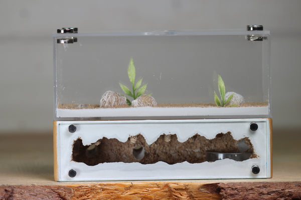 XXL Mini Hearth (BF)(Lime 3515)