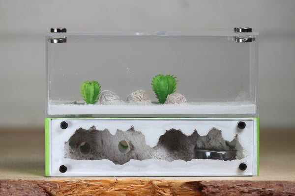 XXL Mini Hearth (BF)(Lime 3515)