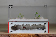 XXL Mini Hearth (BF)(Red 3516)