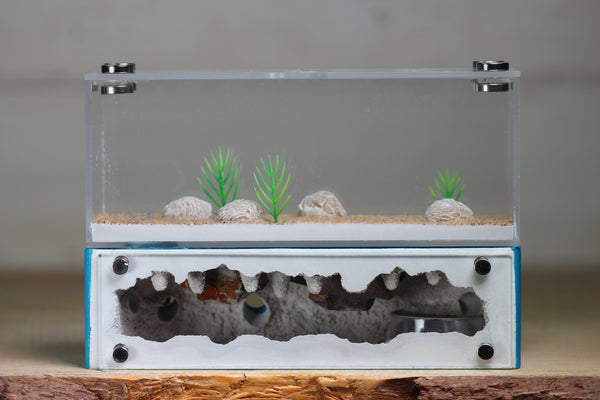 XXL Mini Hearth (BF)(Aqua Blue 3517)