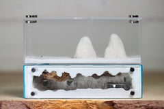 XXL Mini Hearth (BF)(Aqua Blue 3518)