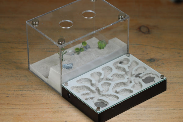 Mini Labyrinth (BF) (Black 3801)(MQ Box)