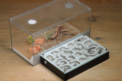 Mini Labyrinth (BF) (Black 3806)