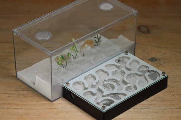 Mini Labyrinth (BF) (Black 3808)