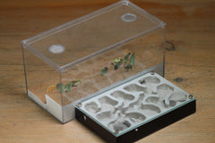 Mini Labyrinth (BF) (Black 3809)