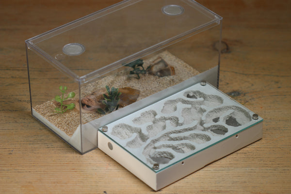 Mini Labyrinth (BF) (Bone 3815)