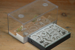 Mini Labyrinth (BF) (Grey 3818)