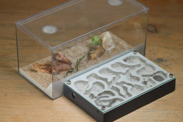 Mini Labyrinth (BF) (Grey 3817)