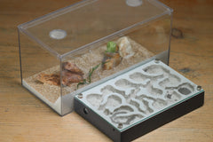 Mini Labyrinth (BF) (Grey 3817)