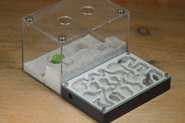 Mini Labyrinth (BF) (Grey 3804)(MQ Box)