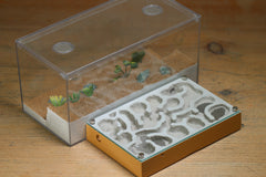 Mini Labyrinth (BF) (Brown 3820)