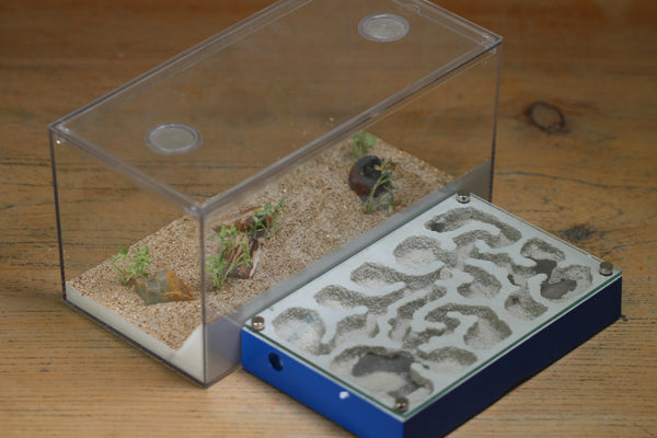 Mini Labyrinth (BF) (Dark Blue 3821)