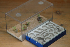 Mini Labyrinth (BF) (Dark Blue 3821)