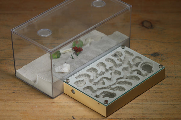 Mini Labyrinth (BF) (Beige 3823)