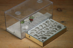 Mini Labyrinth (BF) (Beige 3823)